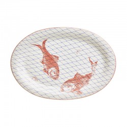 Fuente colección Peces...