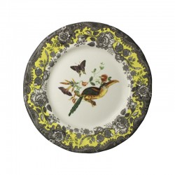 Plato llano colección...